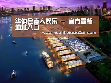 案例展示八