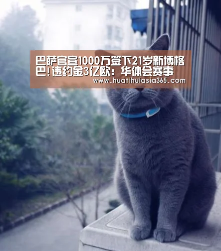 华体会赛事