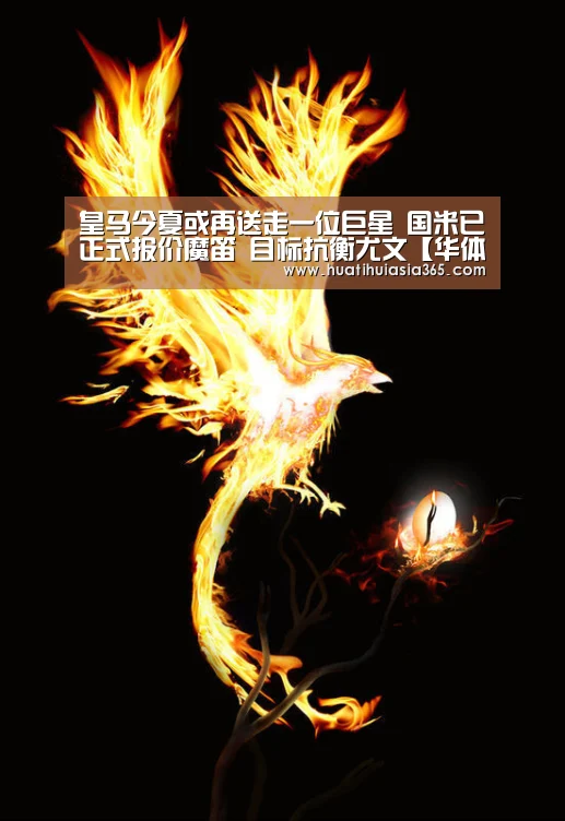 华体会登录
